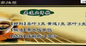 缓解胖人多汗验方——桑连止汗饮