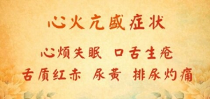 北京卫视20160529《养生堂》姜春燕、竹叶石膏汤、竹叶石膏汤、莲子清心茶、子午觉