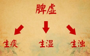 北京卫视20160609《养生堂》王世东、痛风、脾虚、补脾健脾、补脾操