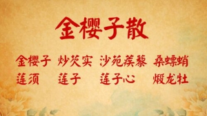 北京卫视20160624《养生堂》张炳厚、赵文景、金樱子散、肾阳虚、肾气不固、肾不纳气