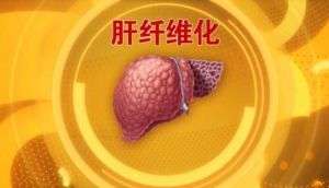 北京卫视20160705《养生堂》肝纤维化、肝硬化、脂肪肝、酒精肝、药物性肝损伤、肝炎