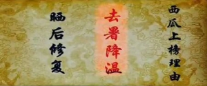 《健康之路》20160710视频和笔记: 张晔、夏季状元菜（四）西瓜、绿豆、酸梅汤
