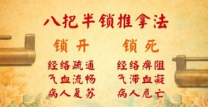 北京卫视20160720《养生堂》白虎锁、返魂锁、青龙锁、紫金锁、八把半锁推拿法