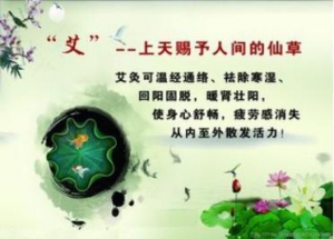 “三伏”养生话艾灸