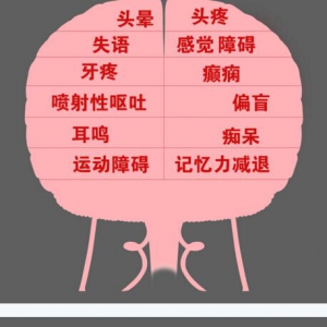 北京卫视20160802《养生堂》脑瘤、小中风、症状混淆、头疼、头晕