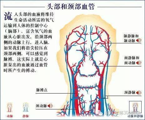 脑供血不足的症状有哪些？