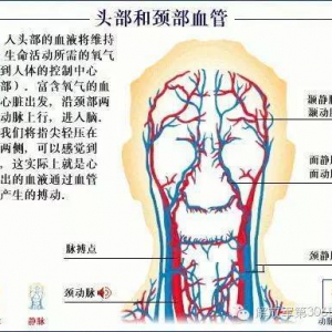 脑供血不足的症状有哪些？