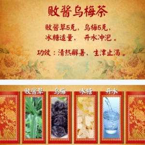 北京卫视20160815《养生堂》《学着古人过伏天》夏食荬、绿豆冬瓜饮、败酱乌梅茶