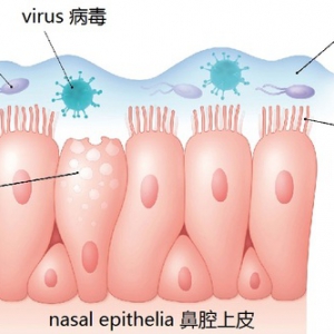 不同颜色的鼻涕预示不同的健康问题