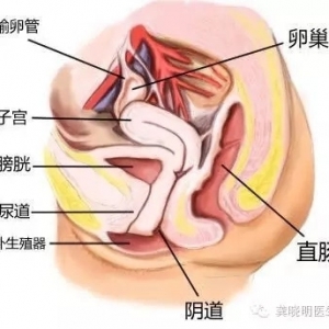 《科普》产后阴道松弛怎么办？