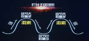 《健康之路》20160914视频笔记: 小结节大纠结（下）乳腺结节的筛查