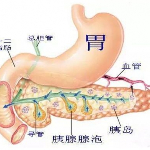 胰腺癌与胃部的不适