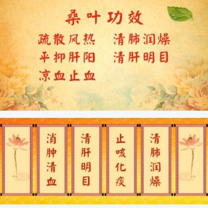 北京卫视20161005《养生堂》、蚕茧、桑叶、十指活络操、蚕桑御风茶、鸭肉、羊肉