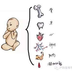 孕期饮食原则