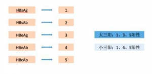 如何看大、小三阳？
