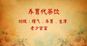 北京卫视20161011《养生堂》气虚、血虚、阴虚、阳虚、养胃代茶饮、秋补误区