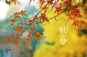 秋分养生更要养神