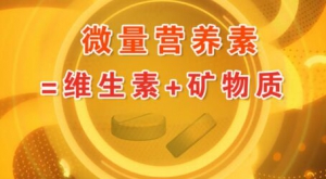 北京卫视20161018《养生堂》微量营养素、防癌、抗癌、苏打水、膳食纤维