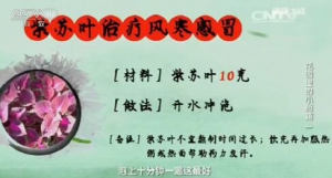 《健康之路》20161020：王玉英、紫苏的药用功效、薄荷的药用功效