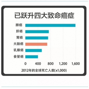 大肠癌，持续增长的致命疾病
