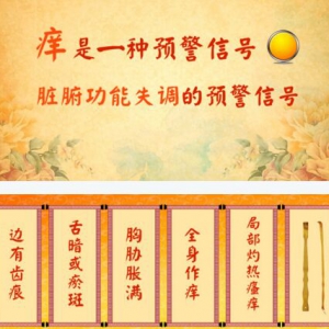 北京卫视20161024《养生堂》瘙痒、荨麻疹、血虚风燥证、血热风燥证、肝郁脾虚证、拔罐