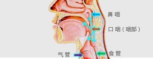 走出这8个误区，彻底摆脱咽炎