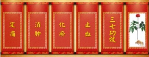 北京卫视20161106《养生堂》、血瘀、冠心病、心绞痛、活血化瘀、三七粉