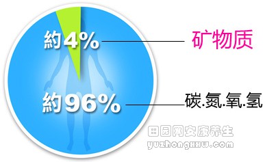 矿物质缺乏该怎么补？