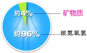 矿物质缺乏该怎么补？