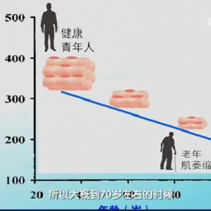 《健康之路》20161112严翊《要长寿巧运动-上》肌肉力量训练、肌肉含量