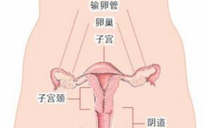 宫颈癌——悄无声息的伪装者