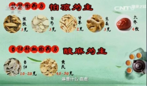 《健康之路》20161116间歇性跛行、桂枝汤、当归补血汤、隔盐灸