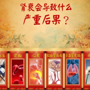 北京卫视20161117《养生堂》《补肾调肾精益求精》肾精、肾虚、补肾、补肾豆浆