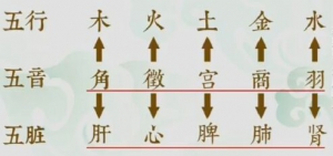《健康之路》20161118《养好胃不反酸（下）》胃酸、缓解反酸的方法