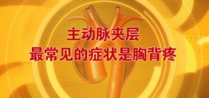 北京卫视20161201《养生堂》《南北名家话健康3-大血管》主动脉夹层的高危因素与症状