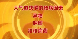 北京卫视20161202《养生堂》《冬季保护体内的“生死通道”》气道狭窄的致病因素与预防