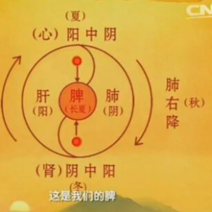 《健康之路》20161203想长寿先扶阳（下）五珍羊肉汤、暖身饼、三才交泰汤