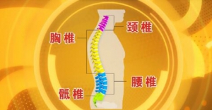 北京卫视20161205《养生堂》《脊椎也要分段养护》压缩性骨折、骨质疏松
