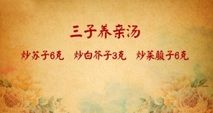北京卫视20161214《养生堂》、三子养亲汤、胃化痰三仁露、三皮清肺饮