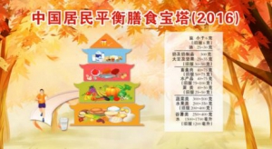 北京卫视20161222《养生堂》《认清油脂控慢病》重症急性胰腺炎、油和胆固醇的区别