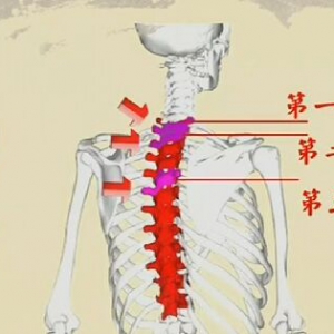 《健康之路》20161224《调脊柱保健康（中）》胸闷心慌、富贵包、灸疗球