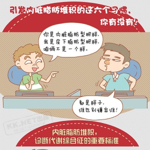 图解六个习惯引发内脏脂肪堆积