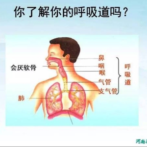 雾霾与健康防护