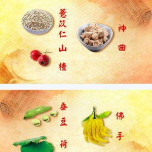 《养生堂》20170123姚魁武《节日吃出健康味》湿热困脾代茶饮