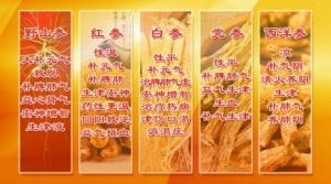 《养生堂》20170208杨志旭《动静平衡保安康》各种人参的疗效区别