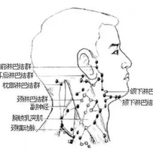 淋巴结肿大预示着什么？