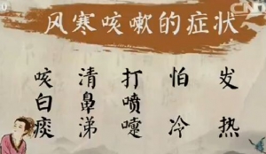《健康之路》20170215苑惠清《止咳药你用对了吗（上）》祛寒解表粥、芡实糯米粥