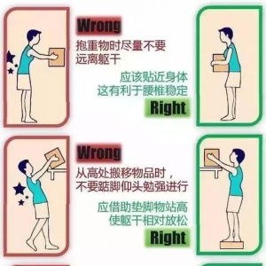 图解腰椎的保护