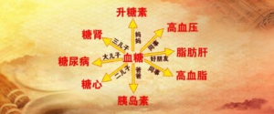 《养生堂》20170309《揭秘三高朋友圈-高血糖》脾虚、肝郁、痰湿
