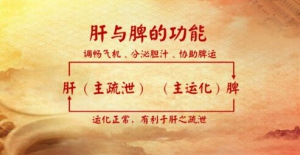 《养生堂》20170313张声生《带您走出春季养生的误区》腹式呼吸法